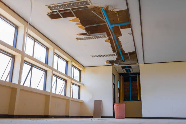 Best Ceiling water damage repair  in Mountain Park, GA