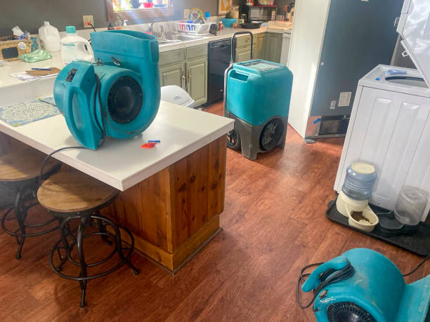 Best Basement water damage restoration  in Mountain Park, GA