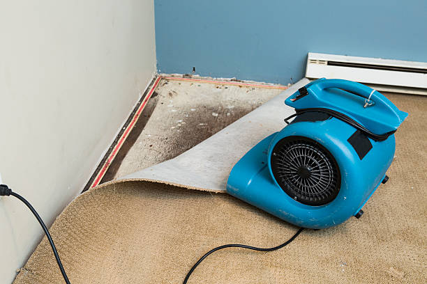 Best Water damage cleanup near me  in Mountain Park, GA